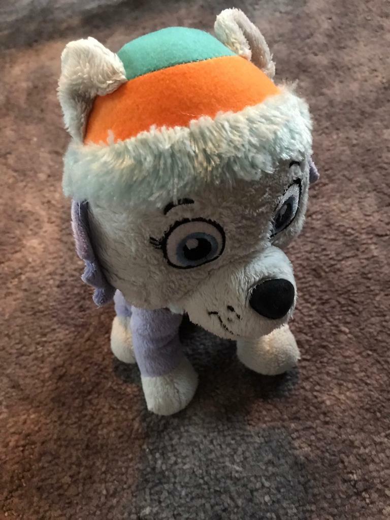 everest teddy